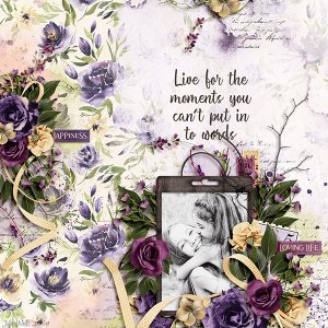 live-for-the-moments