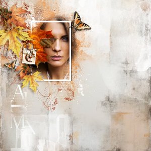 Art Box No.18 by TirAmisu design