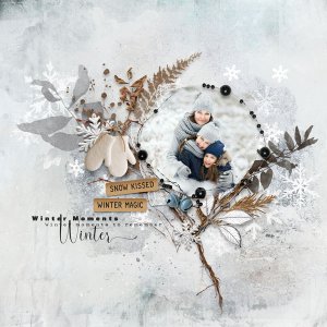 Frosted Memories by et designs