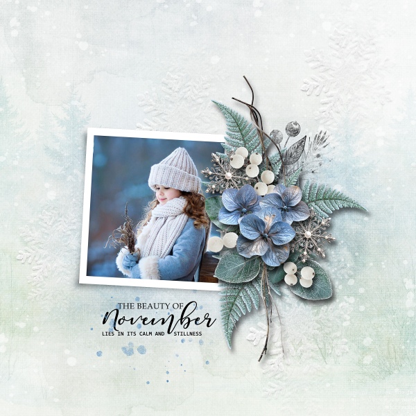 Misty November Collection