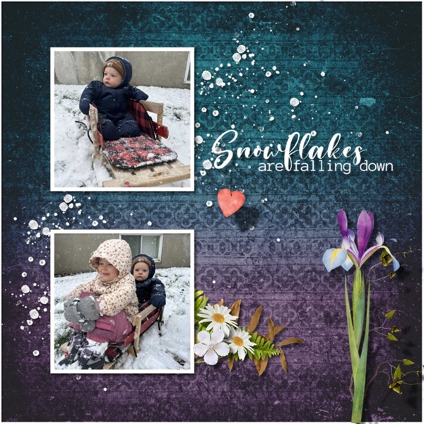 Mystery Box November