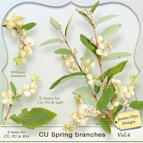 CU Spring branches Vol.4 (spirea) (Jasmin-Olya Designs) CU Spring branches Vol.4 (spirea) (Jasmin-Olya Designs)