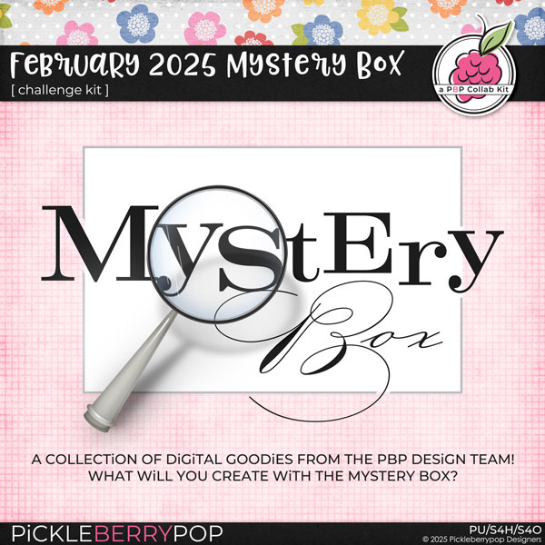 2025-02mysterybox.jpg 2025-02mysterybox.jpg