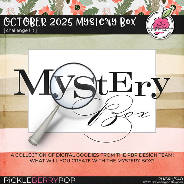 2025-10mysterybox.jpg