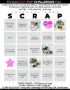 2025-02_pbp_scrapbook_bingo.jpg