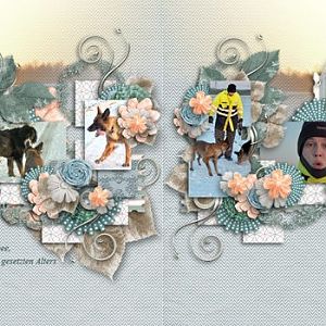 FirstFrost Doublepage