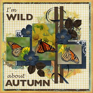 I'm Wild about Autumn