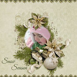 Snow Season
