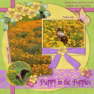 Puppy in the Poppies