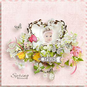 Spring Blossom