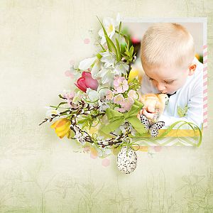 Spring blossom