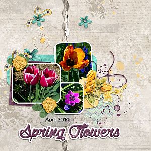 Spring_Flowers1
