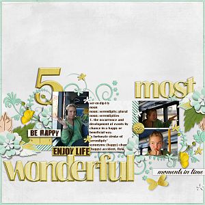 5 Most Wonderful Moments