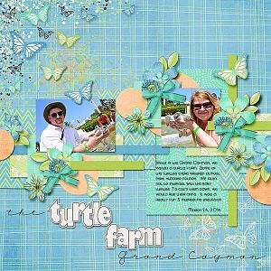 Turtle Farm