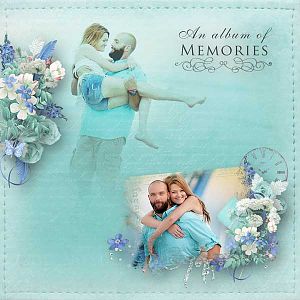 An Album of Memories