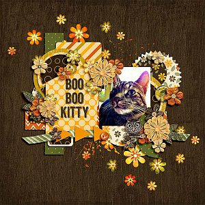 boo boo kitty