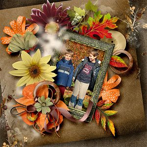 Feel the Autumn