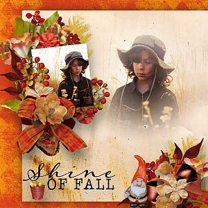 Shine of Fall
