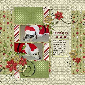 Sally Santa Dog