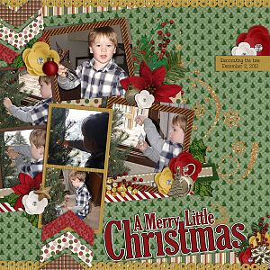 Decorating the Tree - 2012