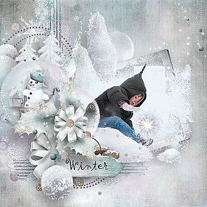 A Taste of Winter