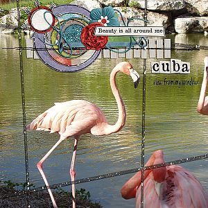 Cuba, Outside my Window