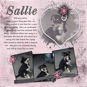 Sallie