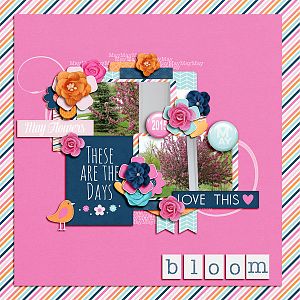 Bloom