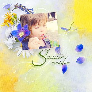 Summer Meadow