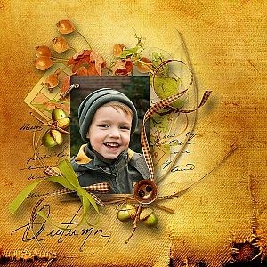 Au coeur de l'automne