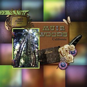 Muir Woods California