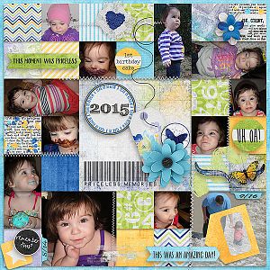 A_Year_In_Review2015