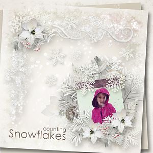 Counting Snowflakes