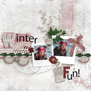 Winter Fun