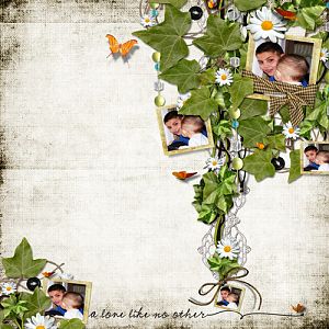 A Love Like No Other