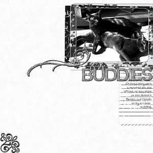 Buddies