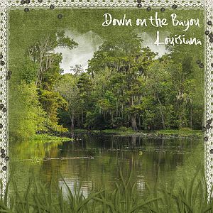 Down on the Bayou