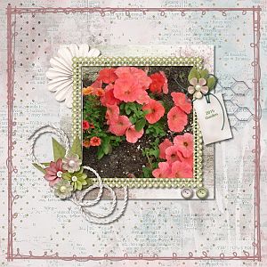 Scraplift Challenge