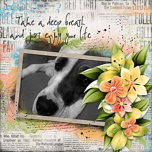 Jumpstart Designs - Jammin