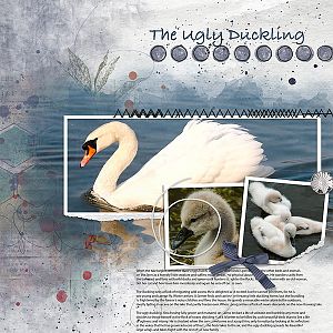 the ugly duckling