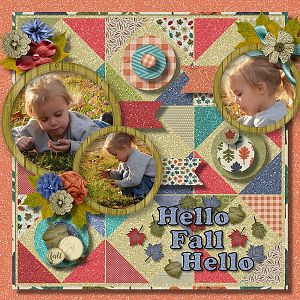 Hello Fall Hello !!!