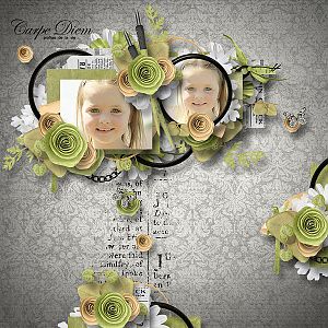 fanettedesign_carpediem_dida1357-6d528772af