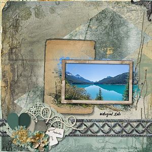 Waterfowl Lake