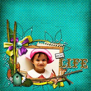 Enjoy Life