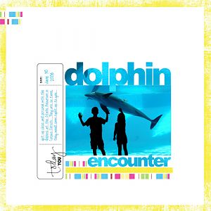 Dolphin Encounter