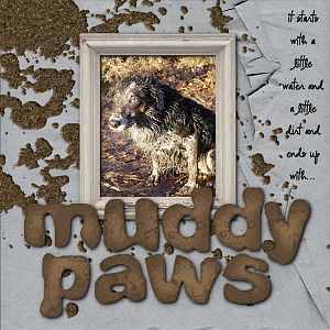 Muddy Paws