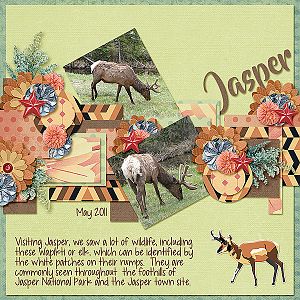 Jasper