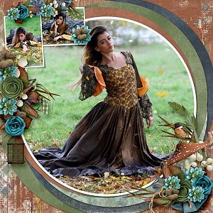 Dried Garden