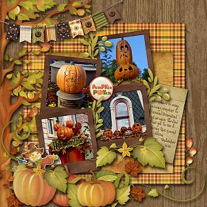 Pumpkin Patch