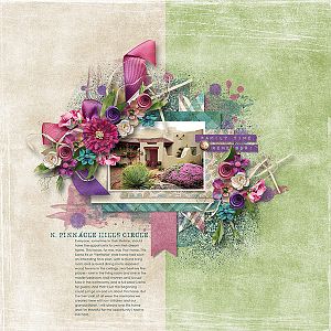 DREAM HOUSE